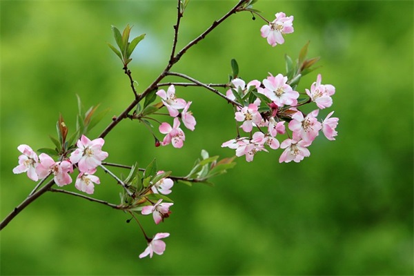 2025年造梦西游4名字符号小圆点