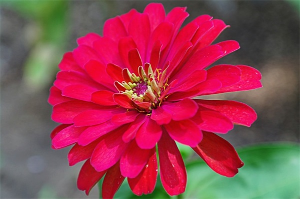 Taps游戏可爱的名字2025