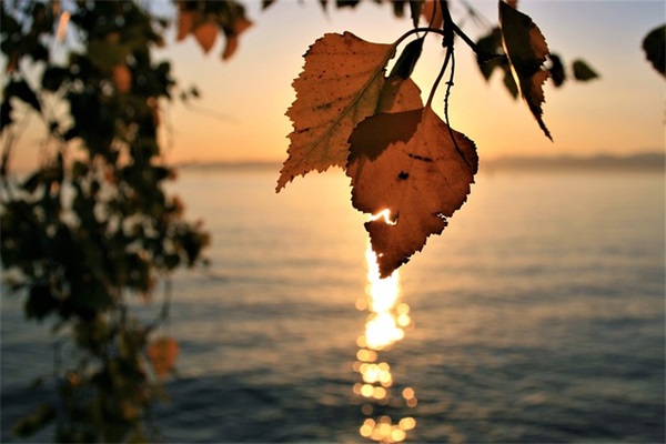 2025热门第五人格游戏好听名字