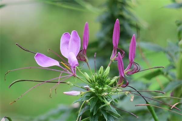 2025年发财的热门破天一剑游戏名字情侣名字一对