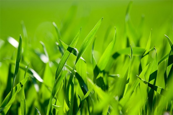 2025年4月最新三国后宫团唯美游戏名字