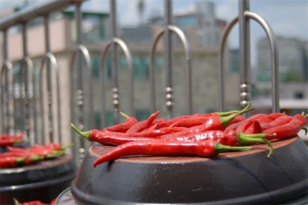 好听又高冷的游戏名字女生游戏昵称（比较有个性的好听又高冷的游戏名字女生）