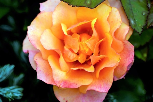 好听的qq游戏名字优雅好听（逗比的好听的qq游戏名字）