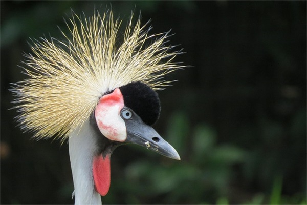 美妆店铺取名最好听的 有创意的美妆店名