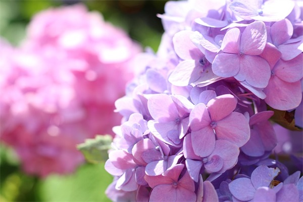 游戏网名超拽霸气2026年77句