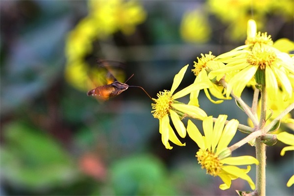 霸气短一点女生网名(256个)