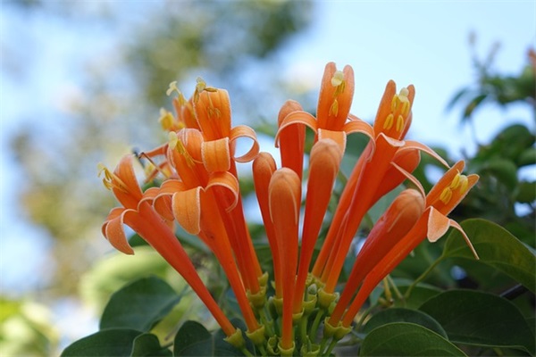 女生伤感王者荣耀名字(252个)