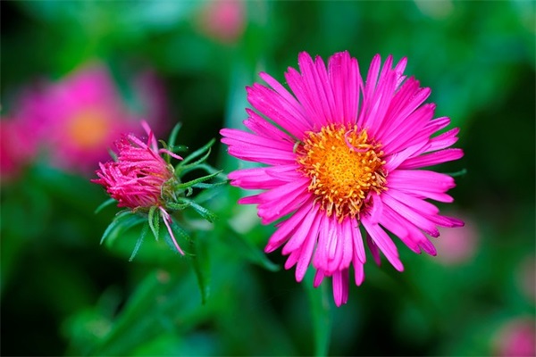 王者荣耀帅气名字高冷600个（最新整理）