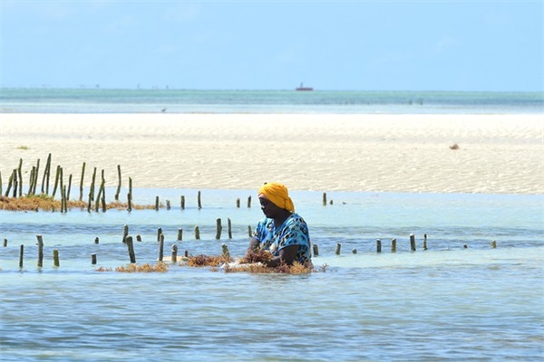 男孩叫乐乐的英文名（男孩乐乐的英文名字）