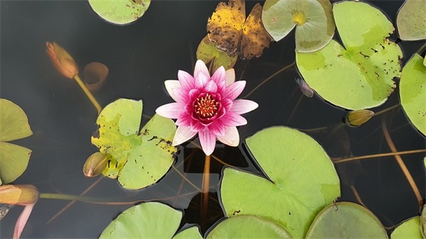 神武性名字大全个大全（经典神武性名字大全个）