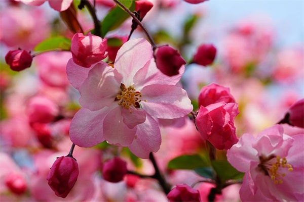 生意红红火火祝福语顺口溜