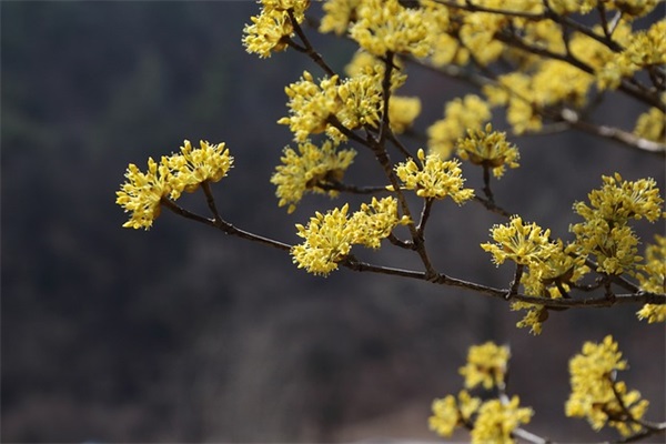 2026年跨年祝福语40句