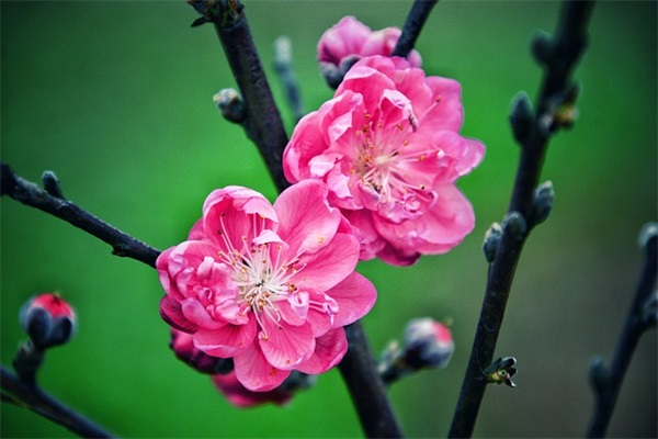 好听的微信名字310句