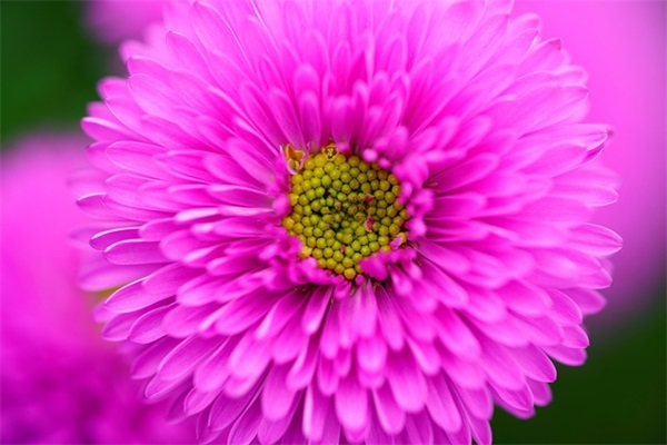 带莫的网名昵称