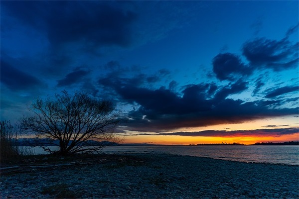 带木的网名男生用