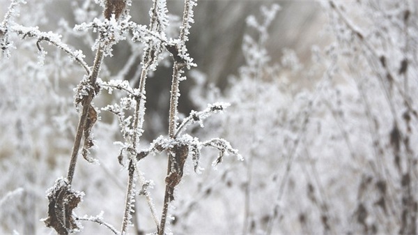 祝生意兴隆的祝福语2026 祝愿生意兴隆的祝福语