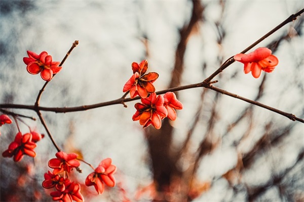 暑假祝福语问候语