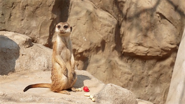 幽默生日快乐祝福语 生日快乐祝福语自己的