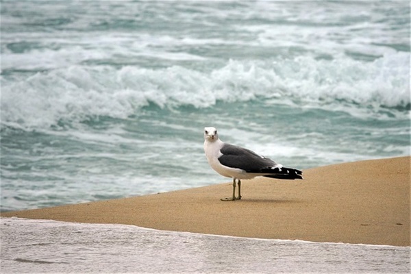 简单的一句祝福语62句