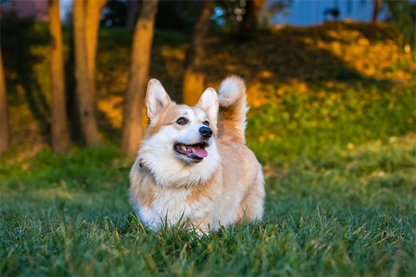 给自己生日祝福语 给自己40岁的生日祝福语