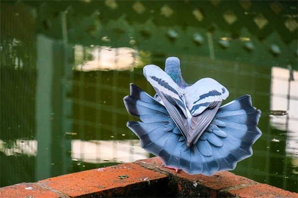 姥姥姥爷钻石婚祝福语 钻石婚祝福语