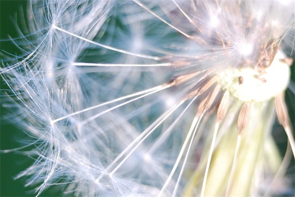 祝领导生日快乐 简单大方的生日祝福语