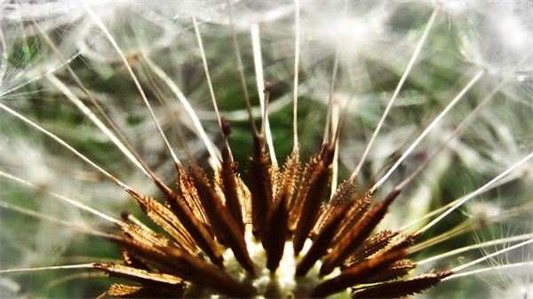 领导女儿结婚祝福语 领导闺女结婚祝福语