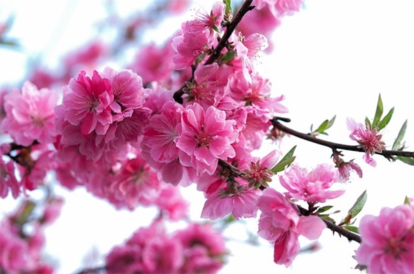 对朋友结婚的祝福语 对朋友结婚的祝福语简短